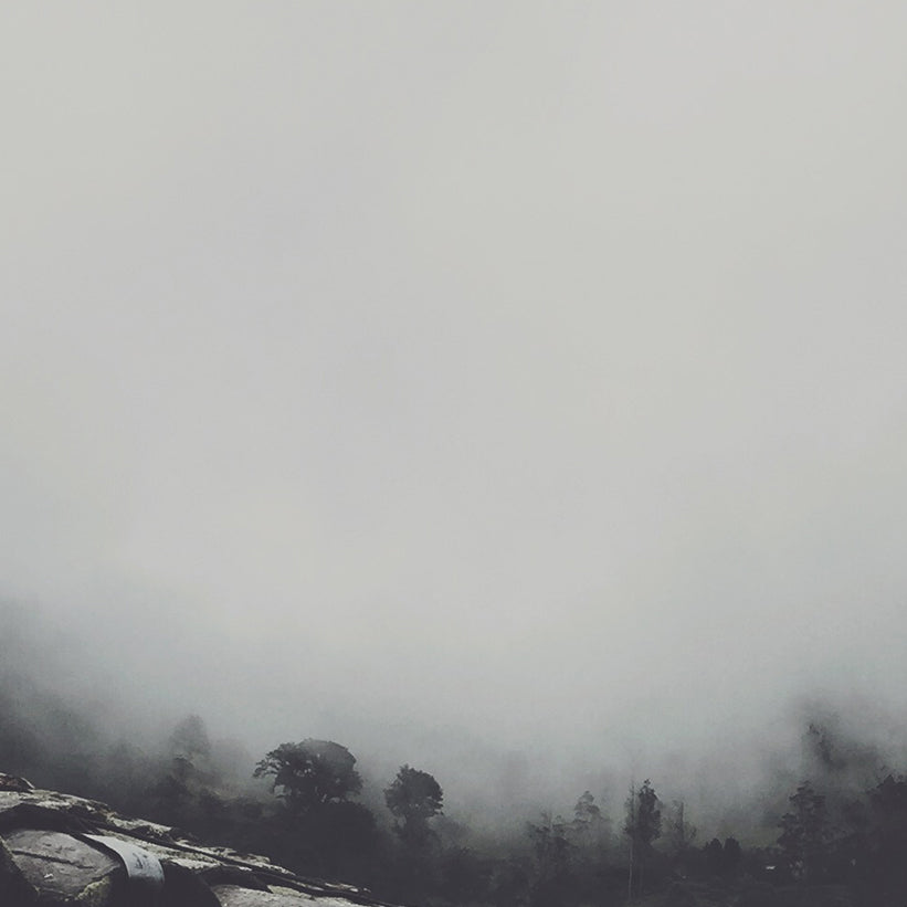 茶 TEA | ANCIENT BLACK