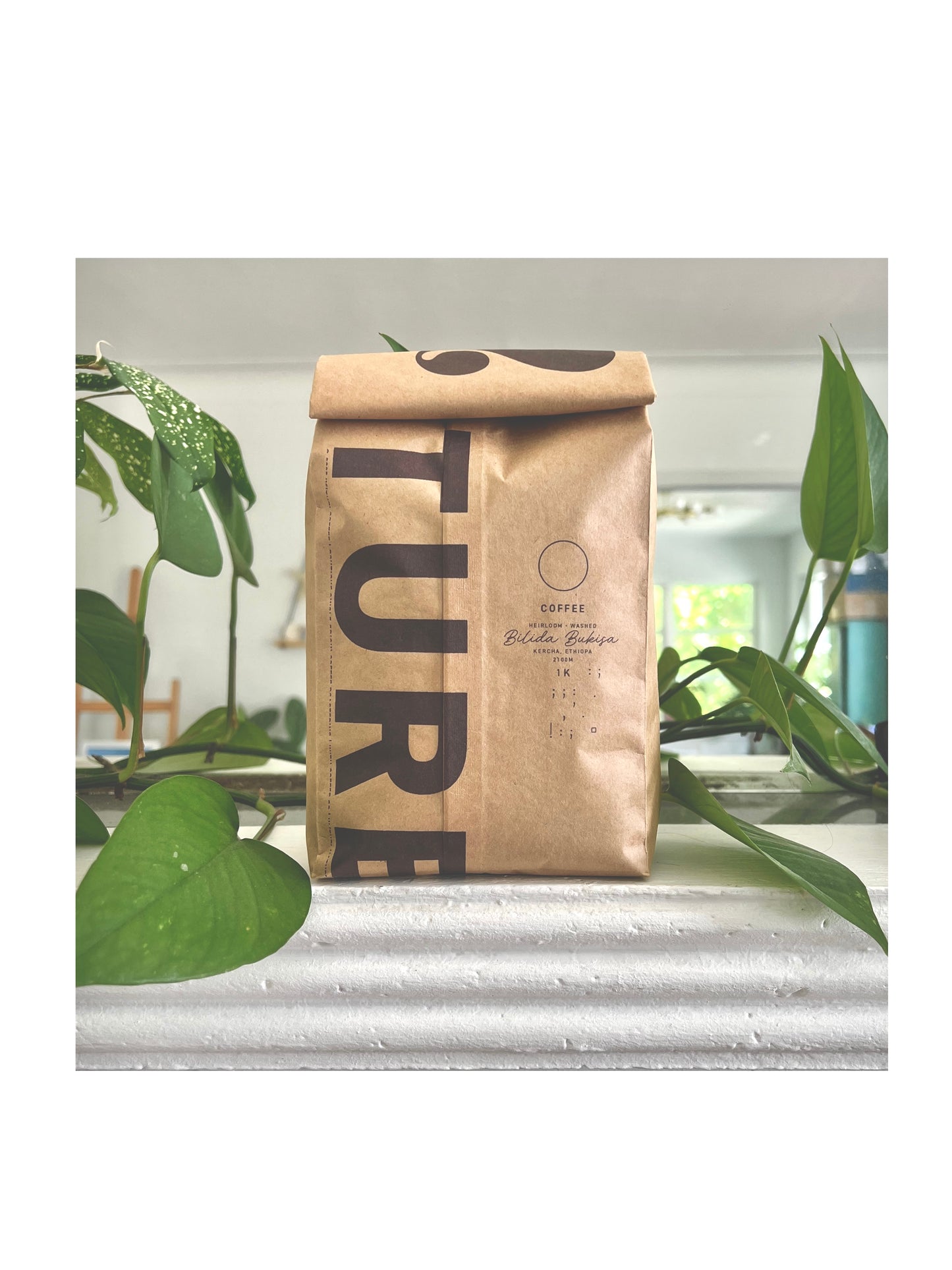 ▲ | BILIDA BUKISA HEIRLOOM