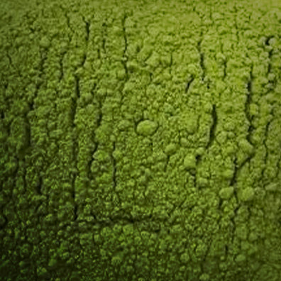 茶 TEA | DYNASTY MATCHA