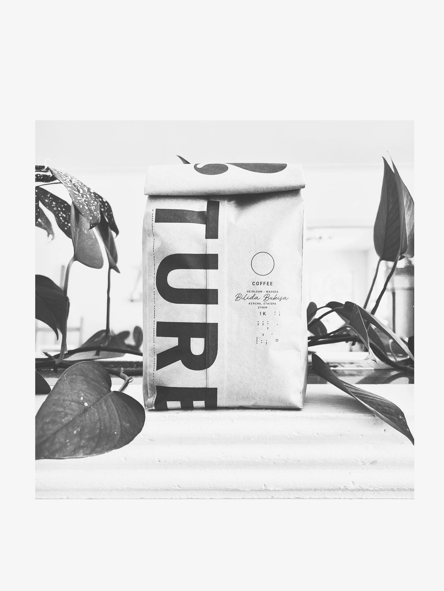 W/TH | COFFEE ORIGIN AFRICA