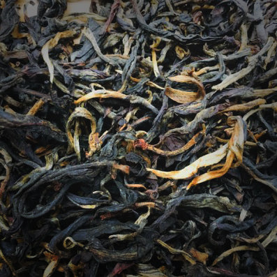 茶 TEA | ANCIENT BLACK