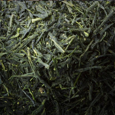茶 TEA | JADE DEW
