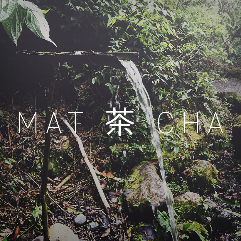 茶 TEA | DYNASTY MATCHA