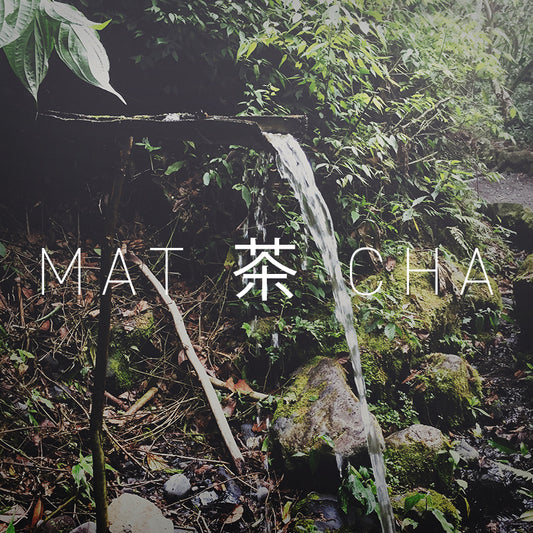 茶 TEA | DYNASTY MATCHA