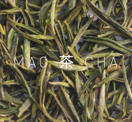 茶 TEA - INDIGENOUS - GREEN