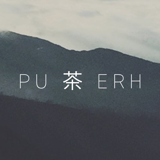 茶 TEA | WILD PUERH