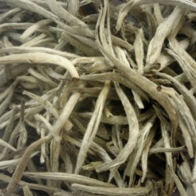 茶 TEA | SILVER PEKOE