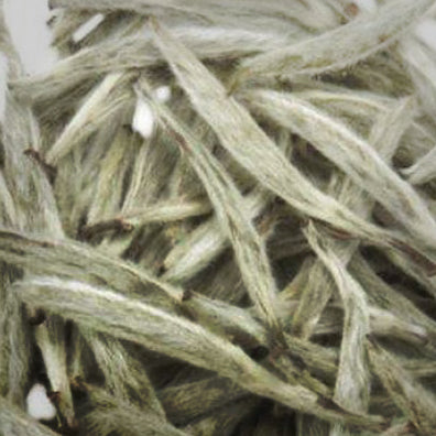 茶 TEA | SILVER LINING