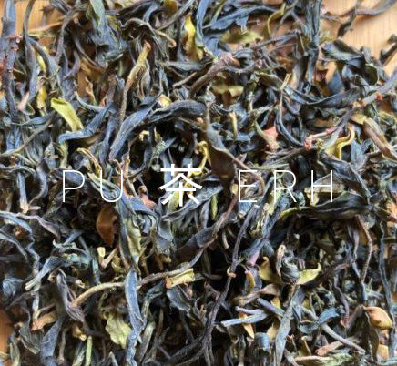 茶 TEA - WILD TREE - PUERH